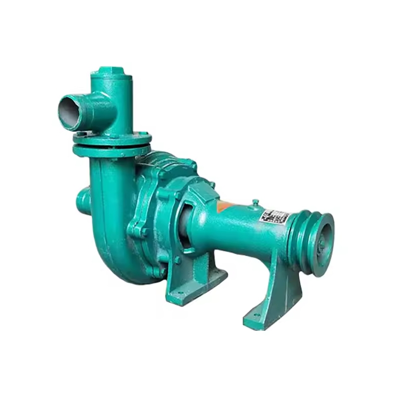 Changmei Diesel Water Pump